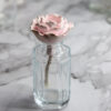 Reed Diffuser Bottle 6.jpg